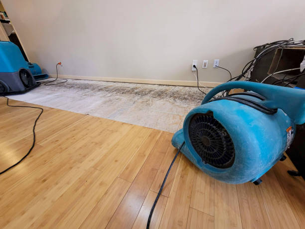 Professional Sewage Cleanup technician working in Spencer, IN